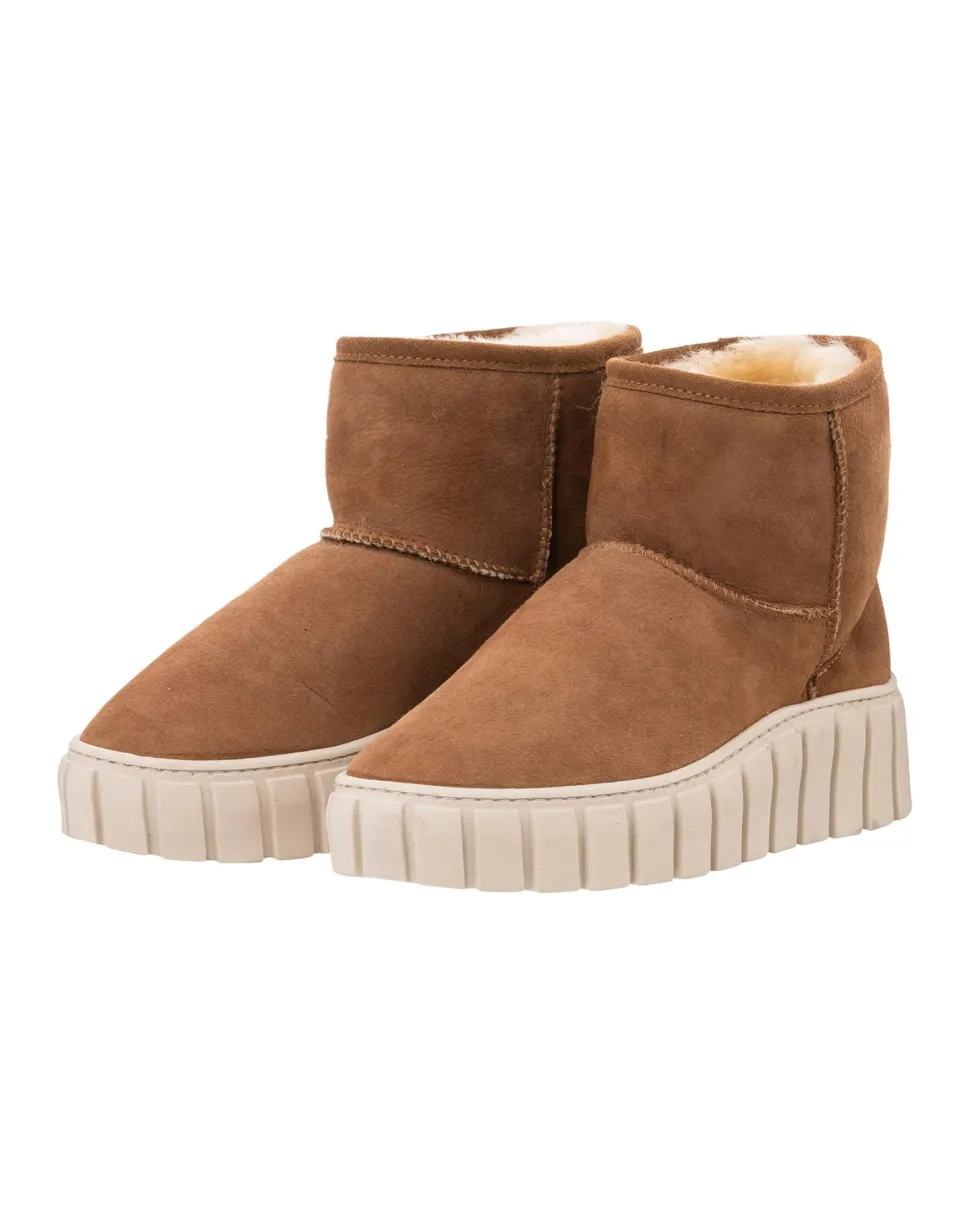 Alexa boots