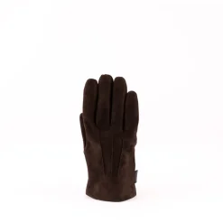 Harry gloves